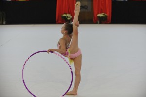 _D3S2729